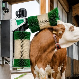 D22 BRUSH SYSTEM